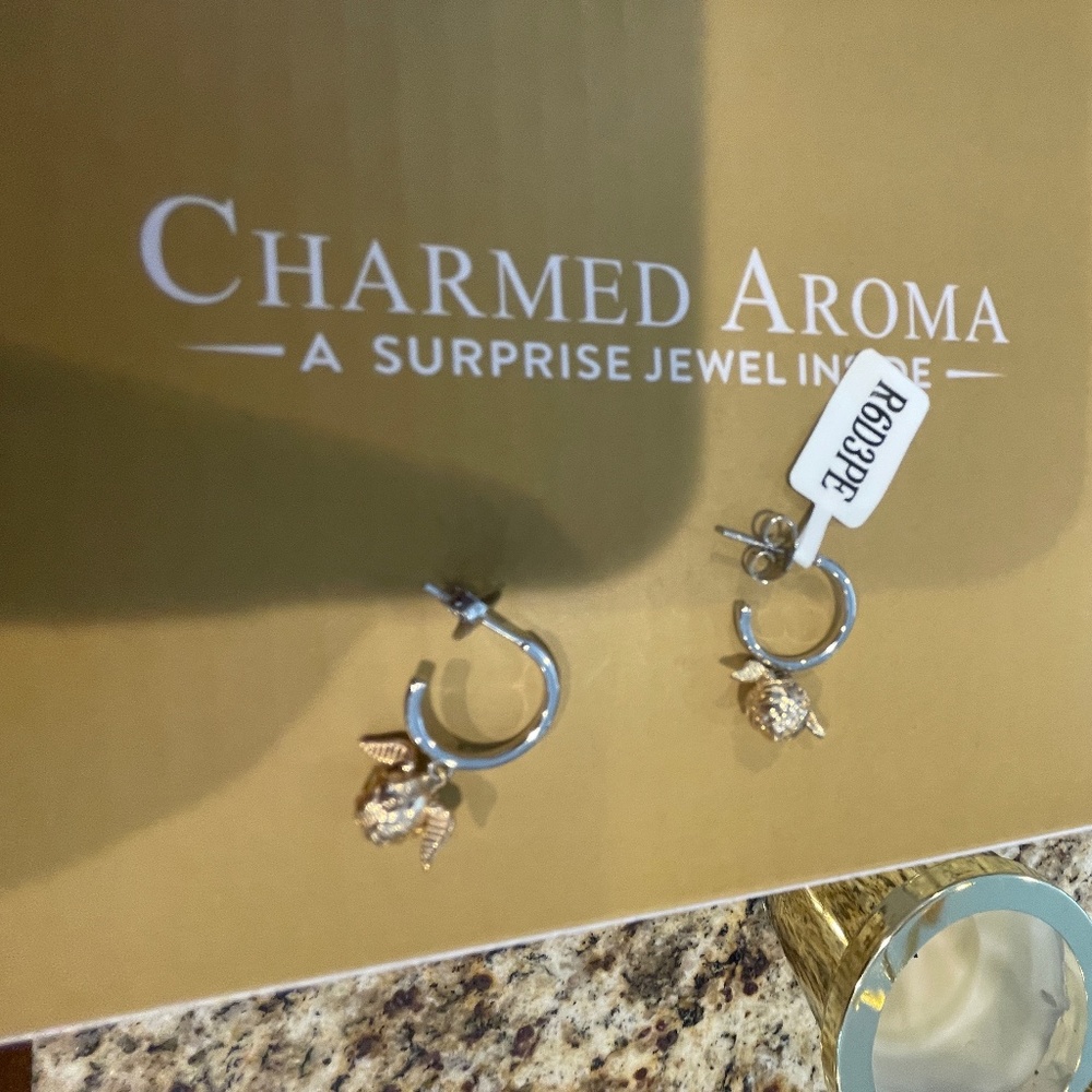 Harry Potter Charmed Aroma Sterling Silver 925 golden Snitch earrings